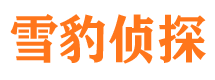 孝昌侦探